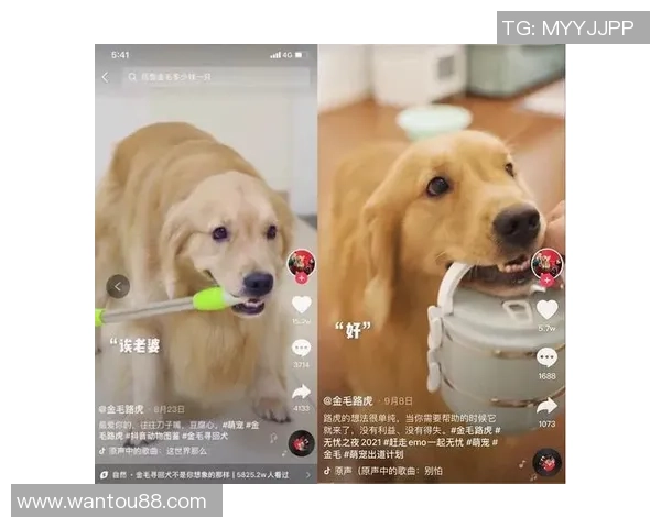 日本阿直播视频下载全攻略轻松获取精彩内容的最佳选择 日本阿直播视频下载全攻略轻松获取精彩内容的最佳选择