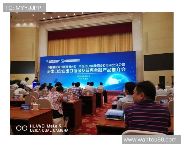 王汝恒：探索科技与人文交融的创新之路，助力未来发展新篇章