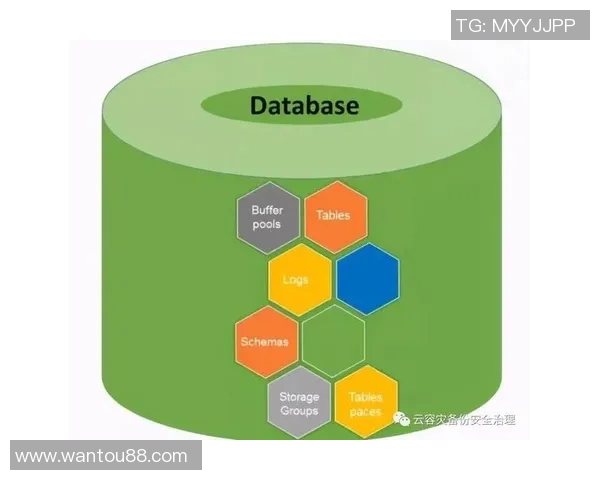 杭州羽毛球队节奏表现数据分析与策略优化探讨