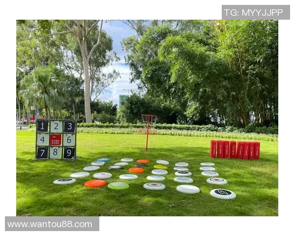 飞盘逆袭：见证北京飞盘队的奋斗与荣耀之路