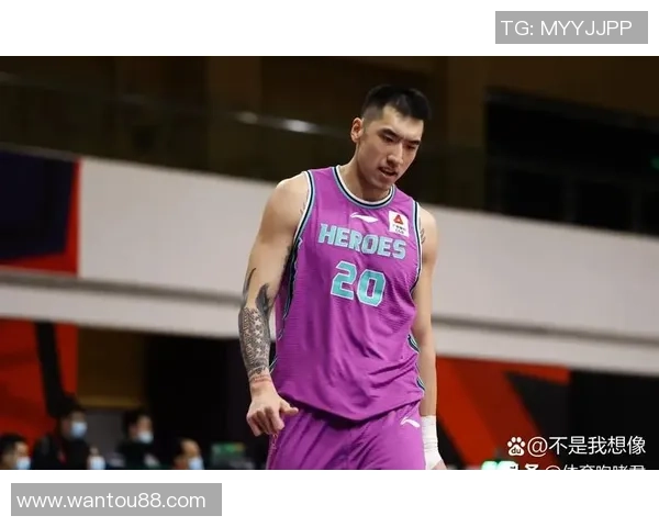 陶汉林：从篮球新星到职业生涯巅峰的奋斗历程与成长故事