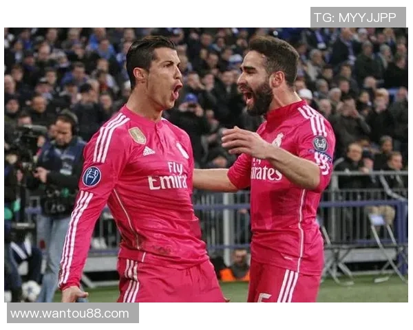 TES战队的荣耀与挑战：从奋斗到巅峰的精彩历程回顾