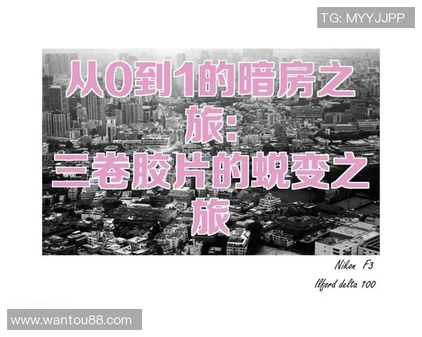 成都排球队的蜕变之旅从传统到现代的全面转型探索